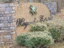 Photo of 147   Magnolia Estates Drive 